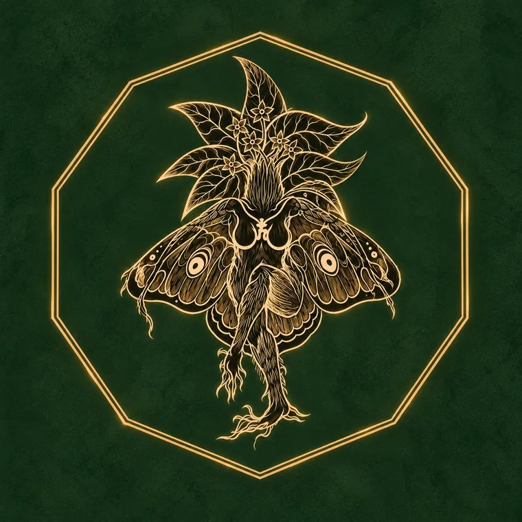 The Moth and Mandrake illustrated moth and mandrake logo